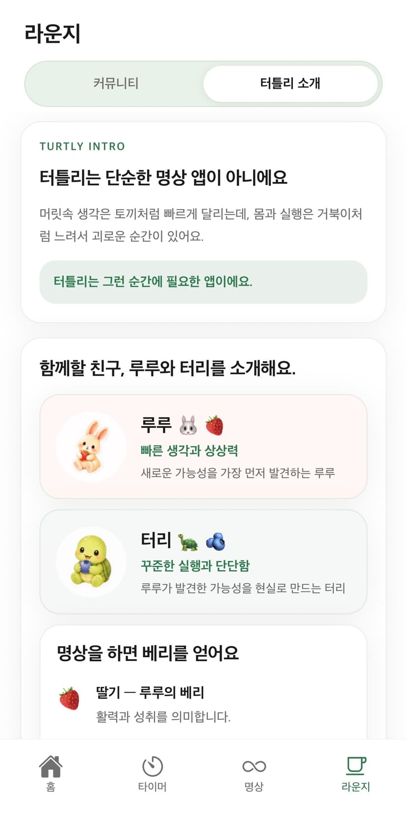 터틀리 라운지 - 터틀리 소개